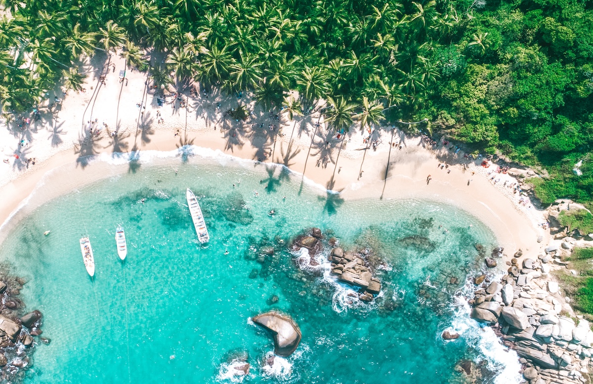 Aerial view of a Tayrona beach where turquoise water meets white sand and palm trees