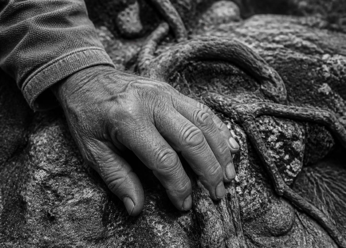 Archival black and white photograph of a weathered hand resting on tree roots and stone